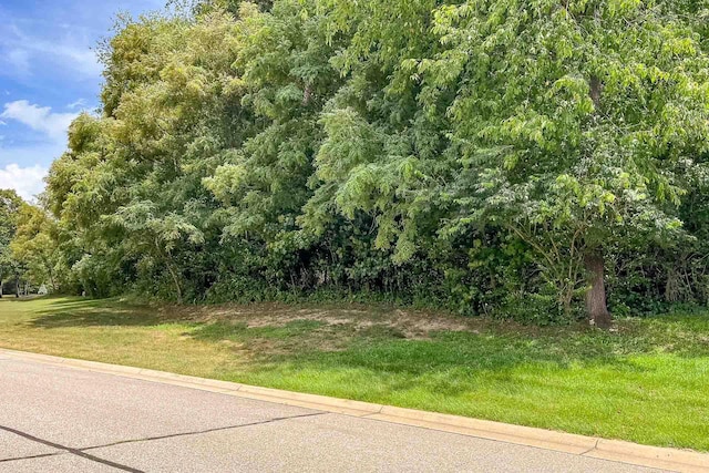 Pine Ridge Dr Unit 9, Niles, MI 49120 - photo 3