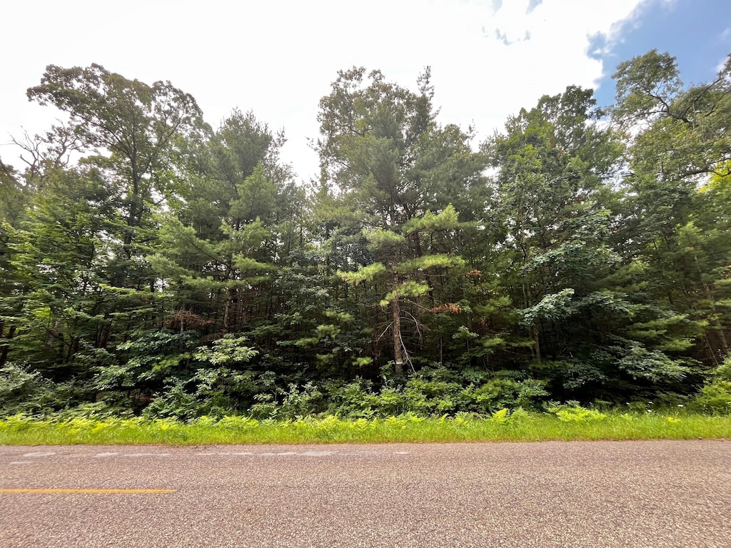 VL Sikkenga Rd Parcel C, Unit Parcel C, Montague, MI 49437 - photo 1