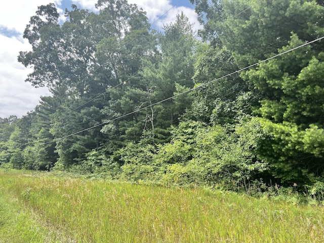 VL Sikkenga Rd Parcel C, Unit Parcel C, Montague, MI 49437 - photo 2