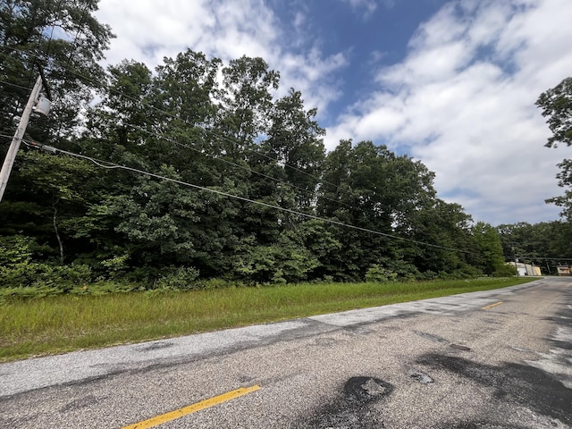 VL Sikkenga Rd Parcel C, Unit Parcel C, Montague, MI 49437 - photo 3