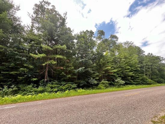 VL Sikkenga Rd Parcel C, Unit Parcel C, Montague, MI 49437 - photo 4