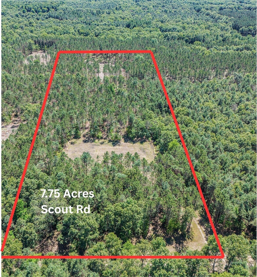 7.75ACRES Scout Rd, Mears, MI 49436 - photo 1