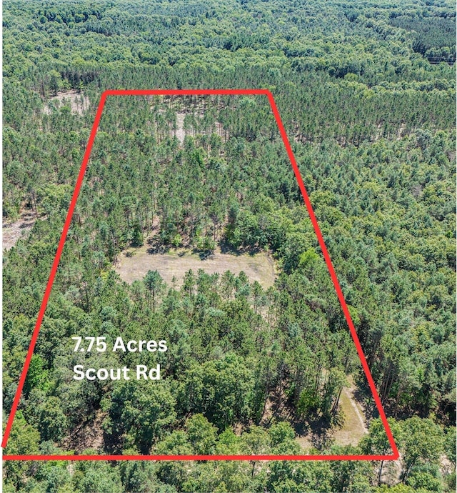 7.75ACRES Scout Rd, Mears, MI 49436 - photo 1