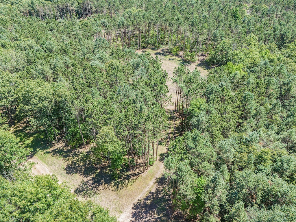 7.75ACRES Scout Rd, Mears, MI 49436 - photo 3