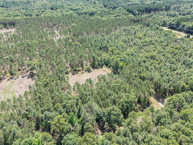 7.75ACRES Scout Rd, Mears, MI 49436 - photo 4