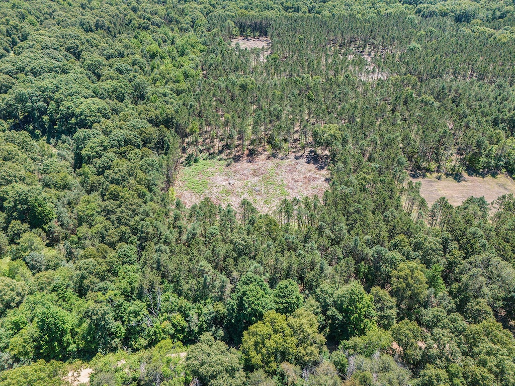 10.02 W Scout Rd, Mears, MI 49436 - photo 2