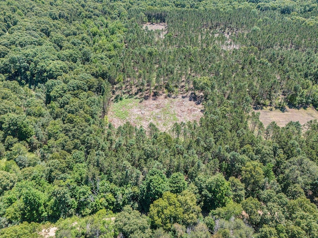 10.02 W Scout Rd, Mears, MI 49436 - photo 2