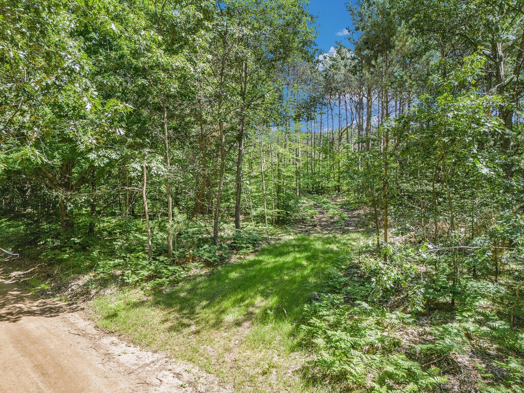 10.02 W Scout Rd, Mears, MI 49436 - photo 3
