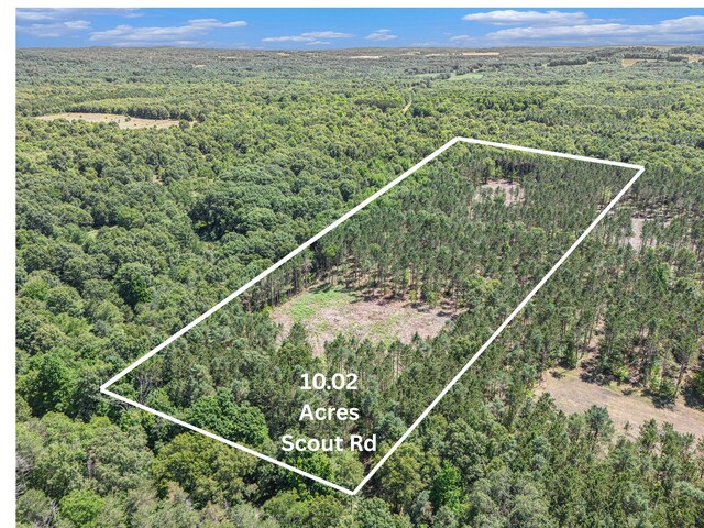10.02 W Scout Rd, Mears, MI 49436 - photo 1