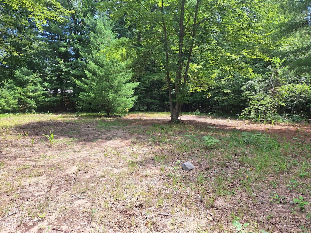5558 N King St, Newaygo, MI 49337 - photo 1