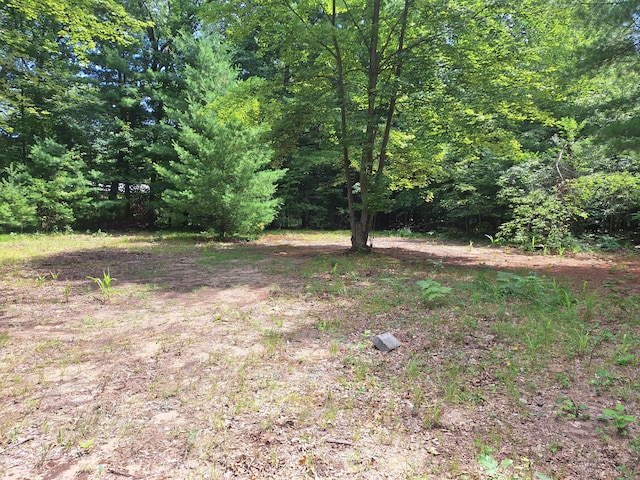 5558 N King St, Newaygo, MI 49337 - photo 1