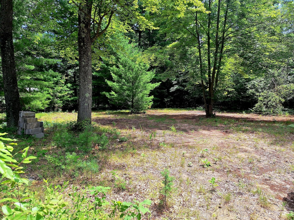 5558 N King St, Newaygo, MI 49337 - photo 2