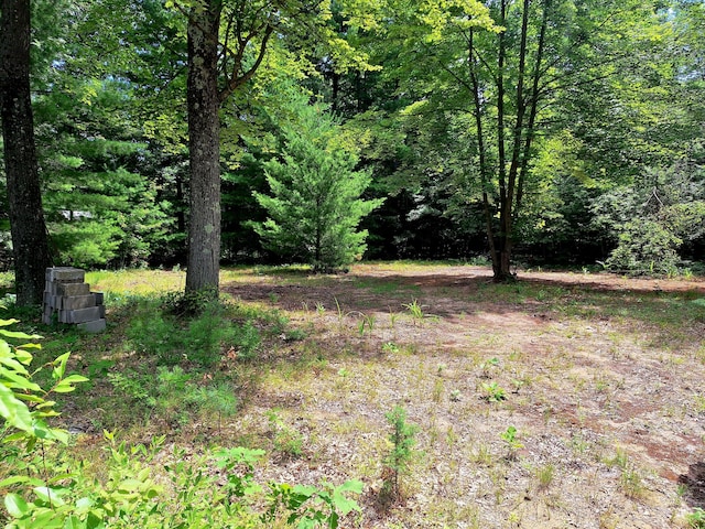 5558 N King St, Newaygo, MI 49337 - photo 2