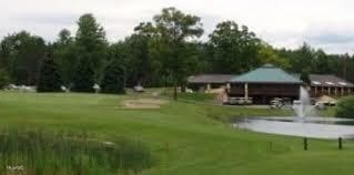 11580 Tanglewood Trl S, Canadian Lakes, MI 49346 - photo 12