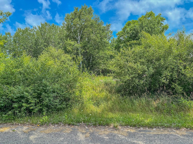 11580 Tanglewood Trl S, Canadian Lakes, MI 49346 - photo 1
