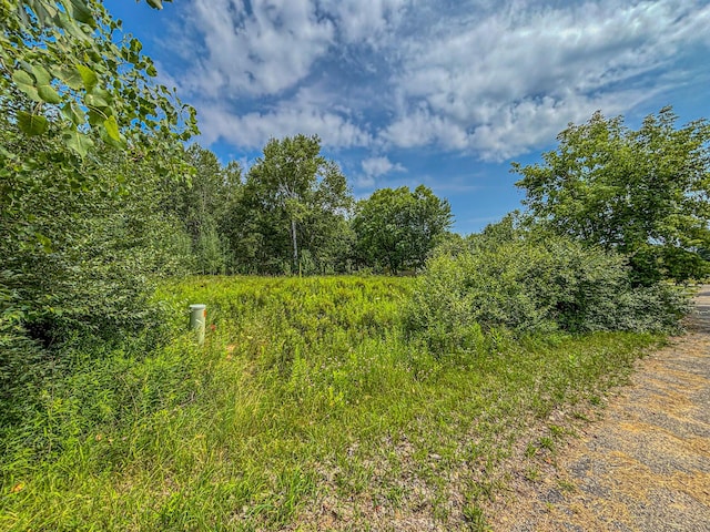 11580 Tanglewood Trl S, Canadian Lakes, MI 49346 - photo 5