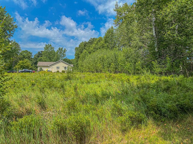 11580 Tanglewood Trl S, Canadian Lakes, MI 49346 - photo 6
