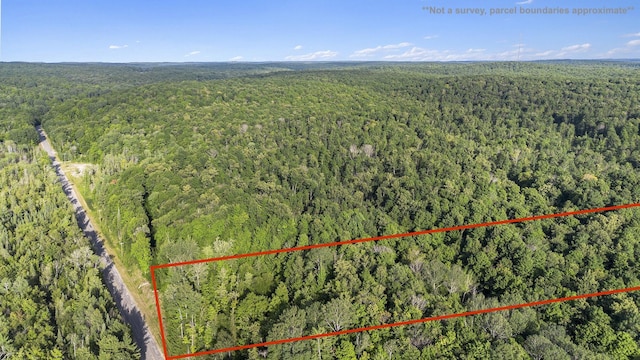 V/L5A E Old State Rd, East Jordan, MI 49727 - photo 1