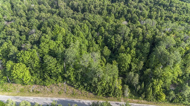 V/L5A E Old State Rd, East Jordan, MI 49727 - photo 2