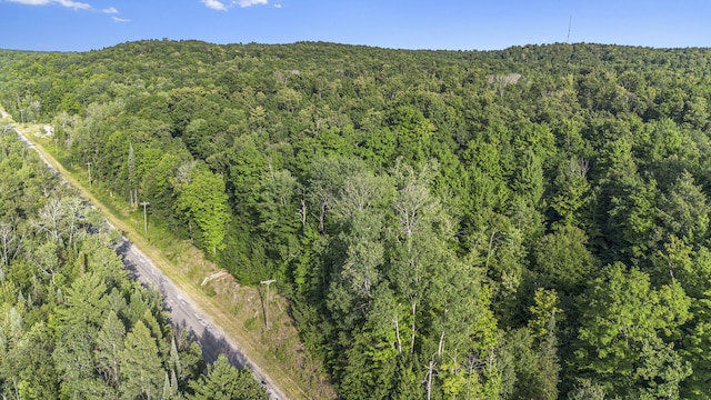 V/L5A E Old State Rd, East Jordan, MI 49727 - photo 3