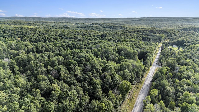 V/L5A E Old State Rd, East Jordan, MI 49727 - photo 4