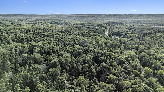 V/L5A E Old State Rd, East Jordan, MI 49727 - photo 5