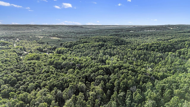 V/L5A E Old State Rd, East Jordan, MI 49727 - photo 6
