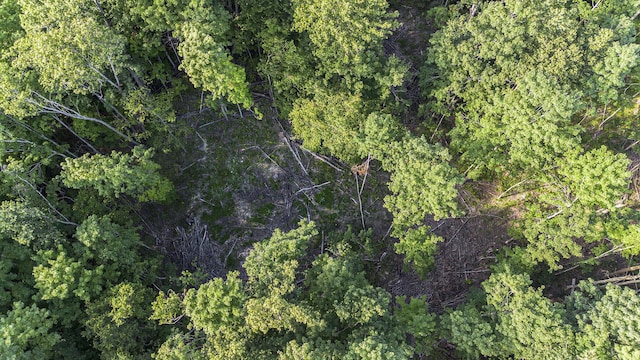 V/L5A E Old State Rd, East Jordan, MI 49727 - photo 9