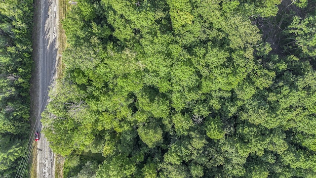 V/L5A E Old State Rd, East Jordan, MI 49727 - photo 10
