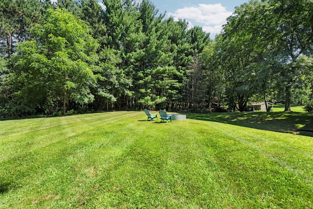 8739 Coyle Dr, Pinckney, MI 48169 - photo 49