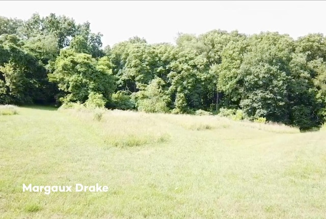 LOT25295 Belding Rd NE, Rockford, MI 49341 - photo 1