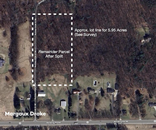 LOT25295 Belding Rd NE, Rockford, MI 49341 - photo 2