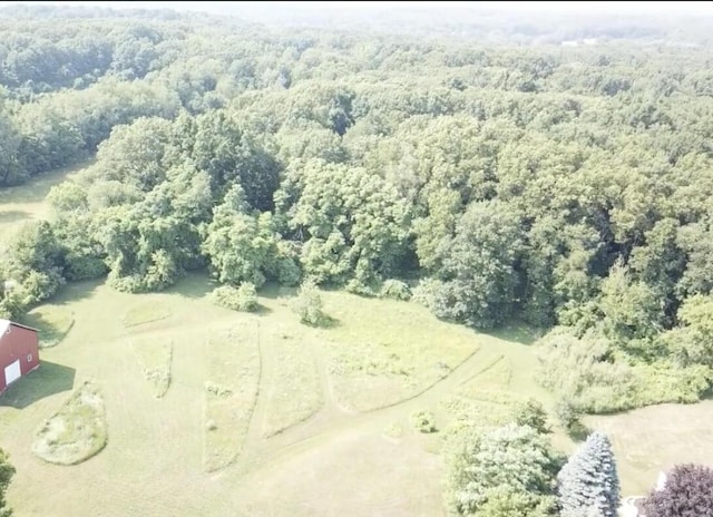 LOT25295 Belding Rd NE, Rockford, MI 49341 - photo 4