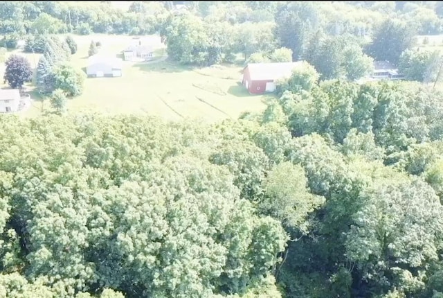 LOT25295 Belding Rd NE, Rockford, MI 49341 - photo 5