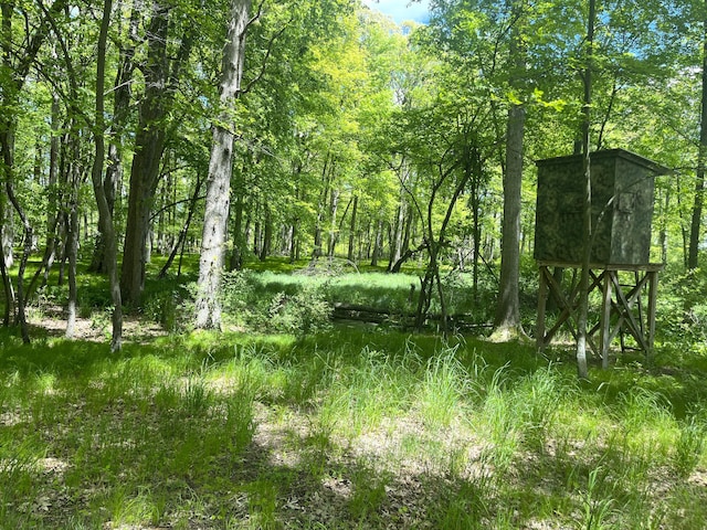 0 Struthers Rd, Grass Lake, MI 49240 - photo 3