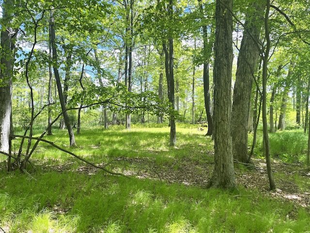 0 Struthers Rd, Grass Lake, MI 49240 - photo 4