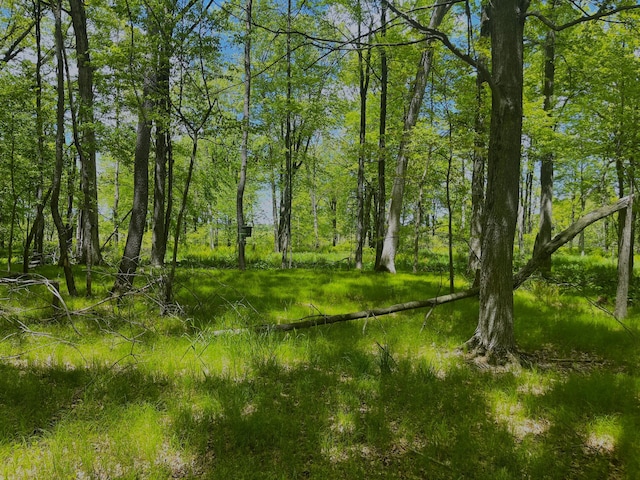 0 Struthers Rd, Grass Lake, MI 49240 - photo 5