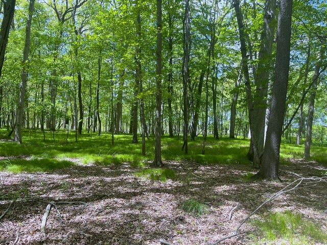 0 Struthers Rd, Grass Lake, MI 49240 - photo 6