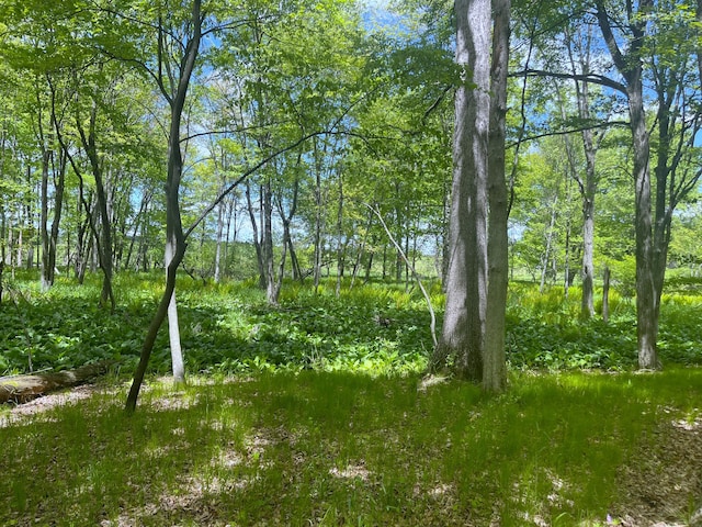 0 Struthers Rd, Grass Lake, MI 49240 - photo 7