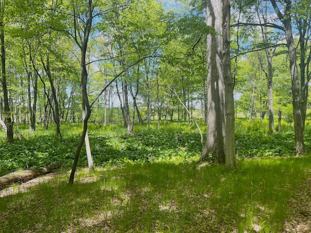 0 Struthers Rd, Grass Lake, MI 49240 - photo 8