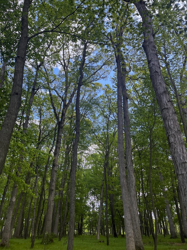 0 Struthers Rd, Grass Lake, MI 49240 - photo 10