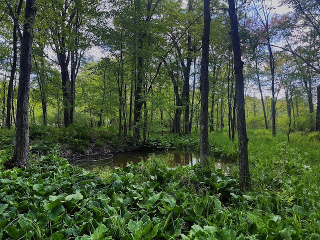 0 Struthers Rd, Grass Lake, MI 49240 - photo 11