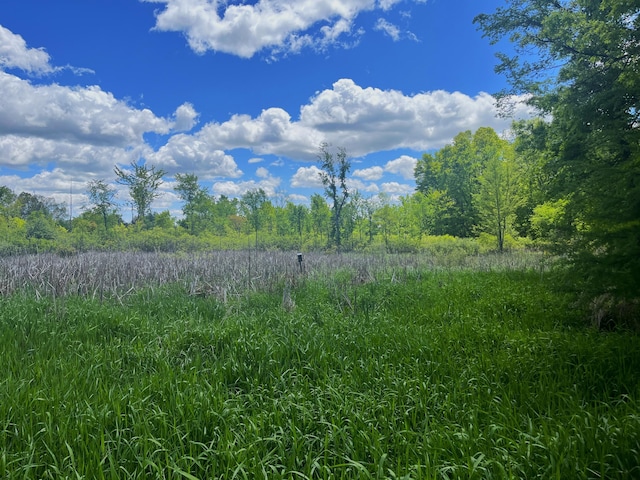 0 Struthers Rd, Grass Lake, MI 49240 - photo 14