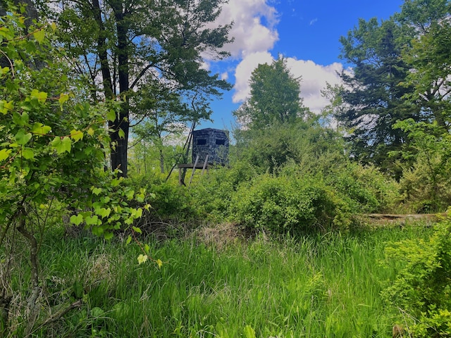 0 Struthers Rd, Grass Lake, MI 49240 - photo 15