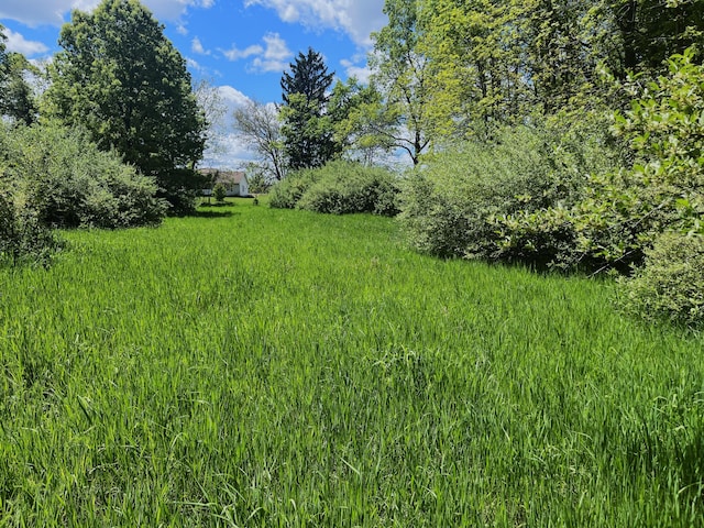 0 Struthers Rd, Grass Lake, MI 49240 - photo 17