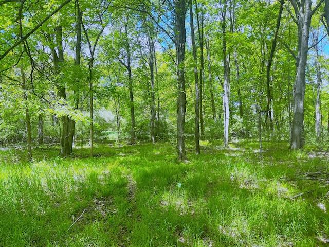 0 Struthers Rd, Grass Lake, MI 49240 - photo 19