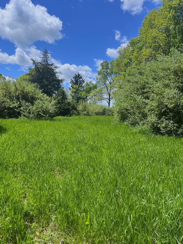 0 Struthers Rd, Grass Lake, MI 49240 - photo 20
