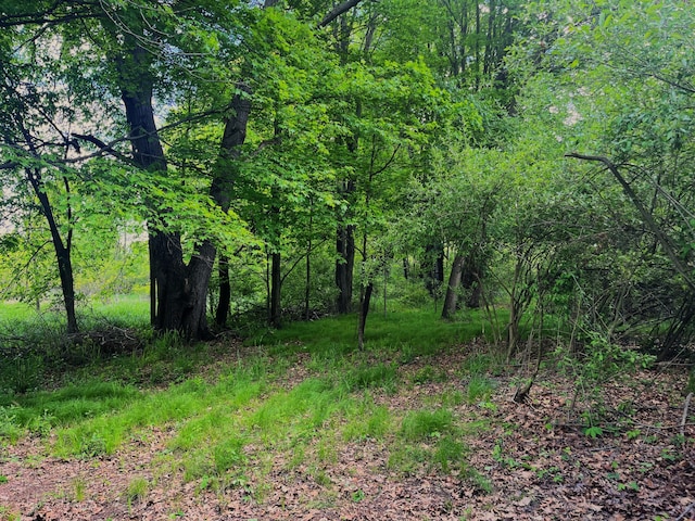 0 Struthers Rd, Grass Lake, MI 49240 - photo 24