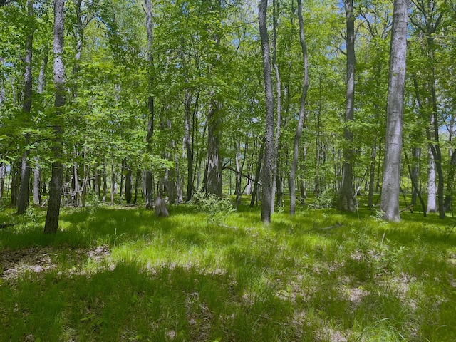 0 Struthers Rd, Grass Lake, MI 49240 - photo 25