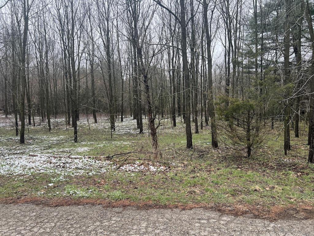 Drew St, Paw Paw, MI 49079 - photo 1